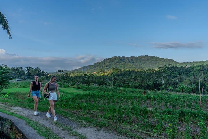 Sidemen Rice Fields Walk and Blue Lagoon Snorkeling — East Bali Day Tour photo 3