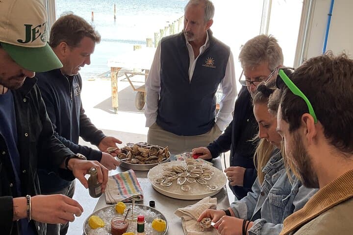 North Fork Wine Tour: Sights, Bites & Flights — Full-Day North Fork Wine Country Experience photo 3