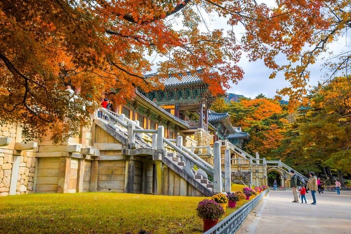 Discover Eastern Korea: 4-Day All-Inclusive Cultural & Scenic Tour from Seoul photo 4