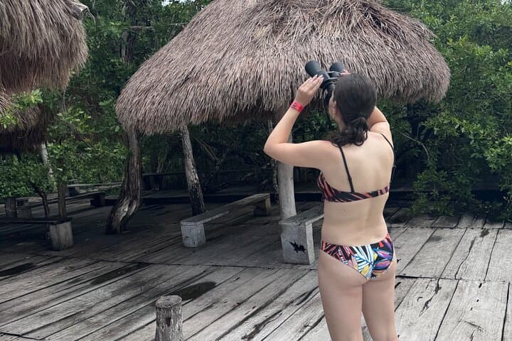 Snorkel Kaan Lu'um: Private Lagoon & Hidden Cenote Tour from Tulum photo 5