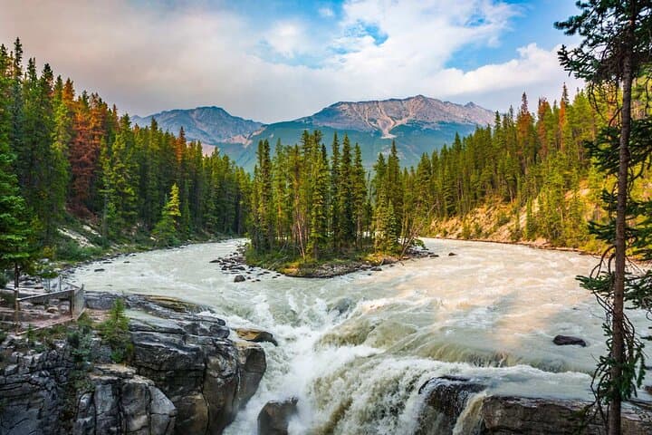 Calgary to Jasper Day Trip: Icefields Parkway, Waterfalls & Abraham Lake photo 6