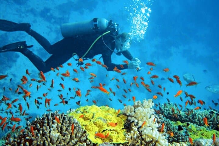 Nha Trang Island Snorkeling Tour: Mun & Mieu Islands with Lunch and Water Sports