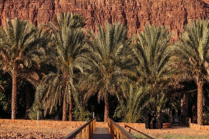 AlUla Oasis Heritage Trail: 3 km Guided Walk Through Palm Gardens & Ancient Farms photo 2