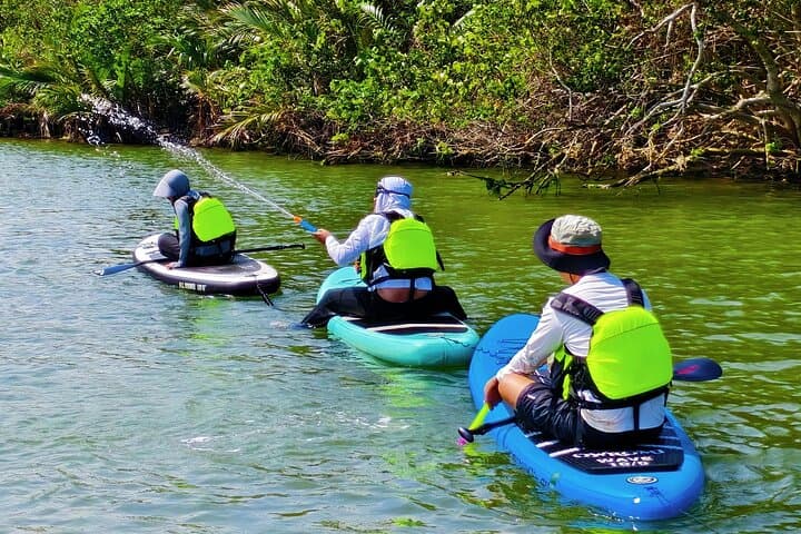 Sun Moon Bay SUP Adventure — 5 km Paddle Through Nypa Palm Groves (Wanning, Hainan)
