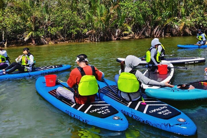Sun Moon Bay SUP Adventure — 5 km Paddle Through Nypa Palm Groves (Wanning, Hainan) photo 4
