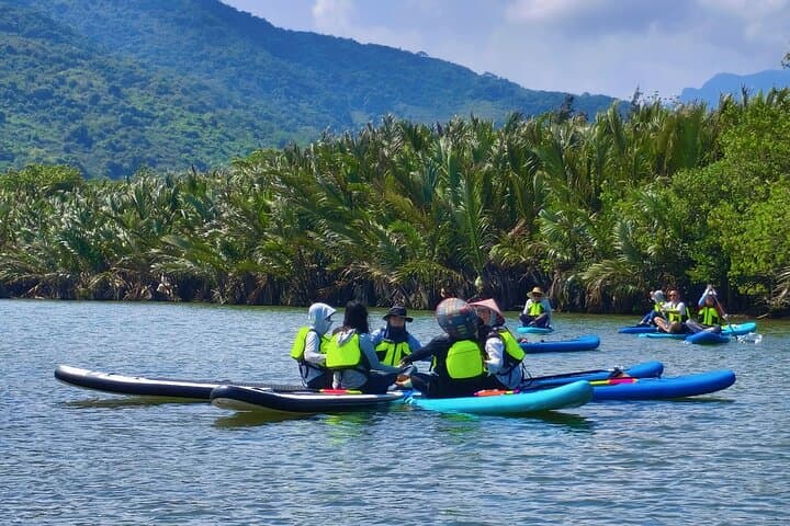 Sun Moon Bay SUP Adventure — 5 km Paddle Through Nypa Palm Groves (Wanning, Hainan) photo 5