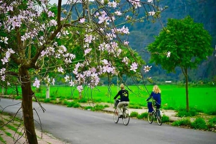 Trang An Full-Day Limousine Adventure: Hoa Lu, Trang An Sampan Cruise & Mua Cave Hike photo 6