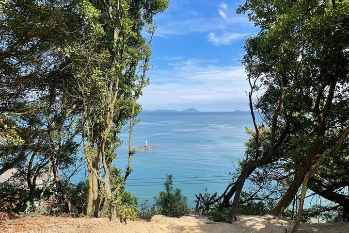 Naoshima and Teshima 2-Day Art & E‑Bike Tour from Takamatsu or Uno photo 3