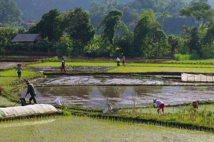 Cycle Mai Chau Valley: One-Day Bike Tour from Hanoi photo 5