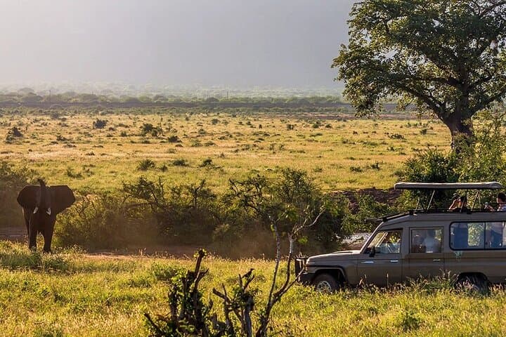 6-Day Tsavo Safari and Mombasa Beach Escape: From Red Elephants to Coral Reefs photo 3