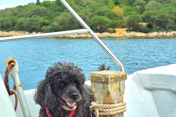 Private Brijuni Islands Boat Trip: Swim, Snorkel & Explore the Archipelago