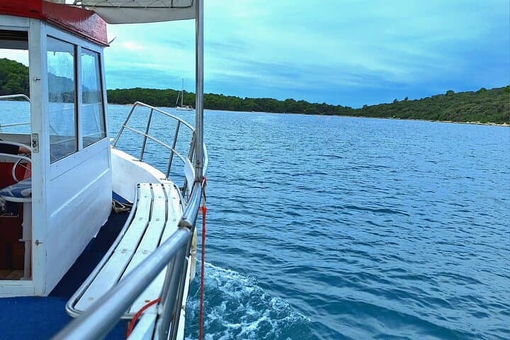 Private Brijuni Islands Boat Trip: Swim, Snorkel & Explore the Archipelago photo 5