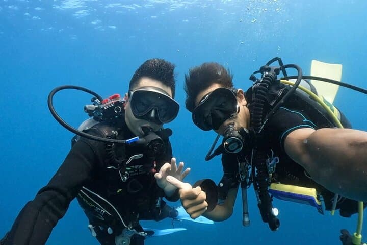 Kushimoto Premier Dive Spots: Two Guided Boat Dives in Kansai’s Kuroshio Waters photo 2