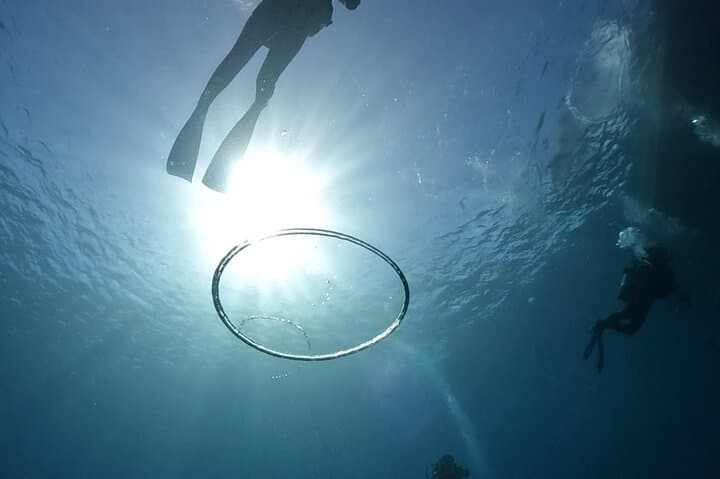 Kushimoto Premier Dive Spots: Two Guided Boat Dives in Kansai’s Kuroshio Waters photo 6