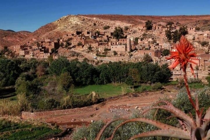 Day Trip to Ourika Valley & Atlas Mountains from Marrakech photo 3