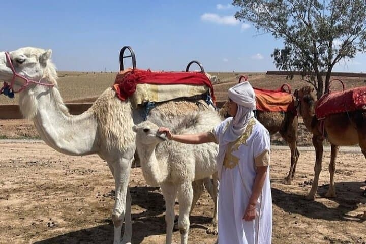 Day Trip to Ourika Valley & Atlas Mountains from Marrakech photo 5