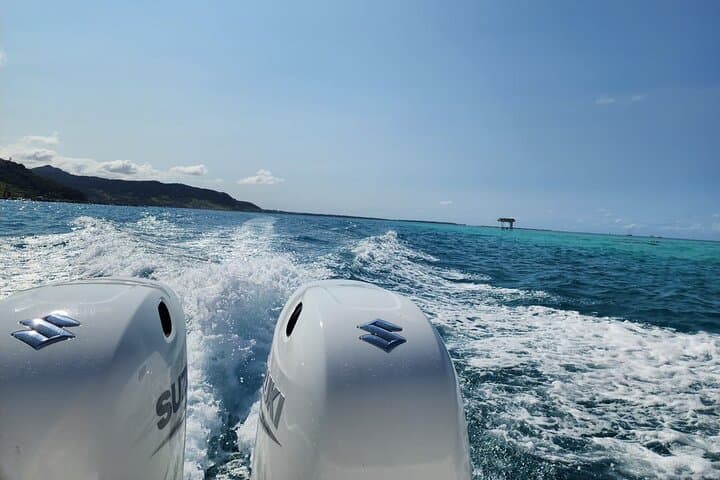 Mauritius 5-Island Speedboat Trip with BBQ, Snorkeling & Dolphin Watching photo 4