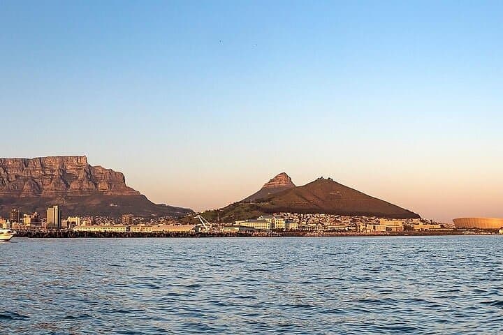 Table Bay Marine Eco Tour: Dolphins, Penguins & Table Mountain Views from the V&A Waterfront photo 3