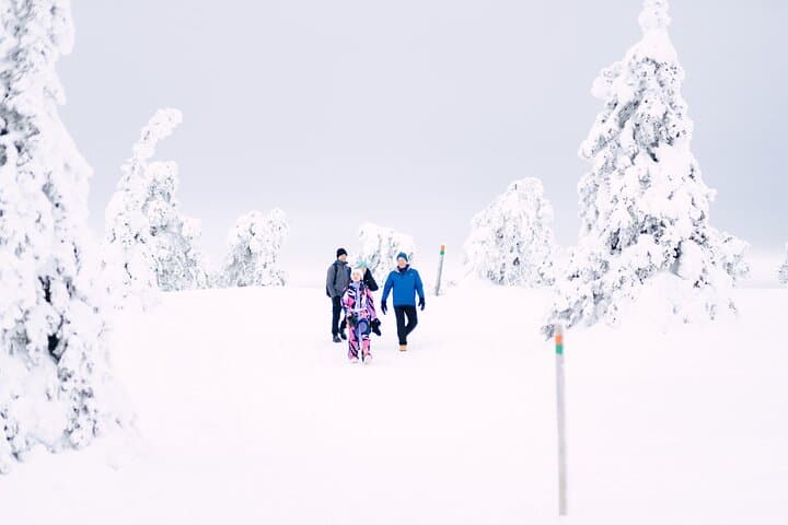 Riisitunturi Winter Photography Hike — Frozen Wonderland Guided Snowforest Photoshoot photo 2