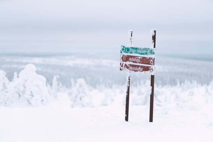 Riisitunturi Winter Photography Hike — Frozen Wonderland Guided Snowforest Photoshoot photo 3