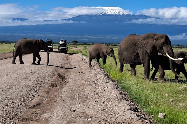 Private Day Safari to Amboseli National Park by 4x4 Landcruiser photo 2