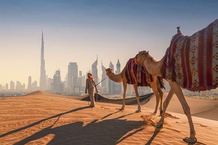 Private Dubai City Tour — Half-Day or Full-Day Customized Sightseeing photo 5