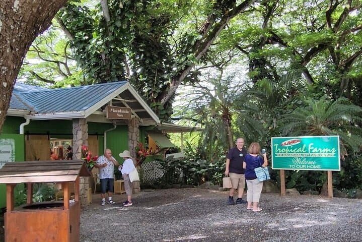 Spanish-Guided Circle-Island Adventure with Turtle Snorkeling on Oahu photo 2