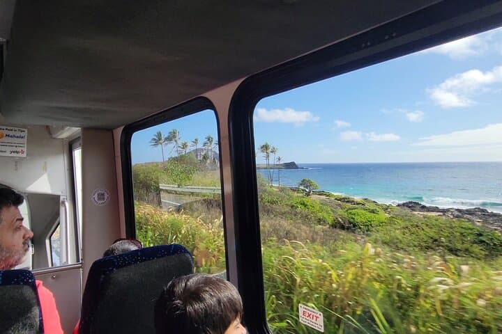 Spanish-Guided Circle-Island Adventure with Turtle Snorkeling on Oahu photo 4