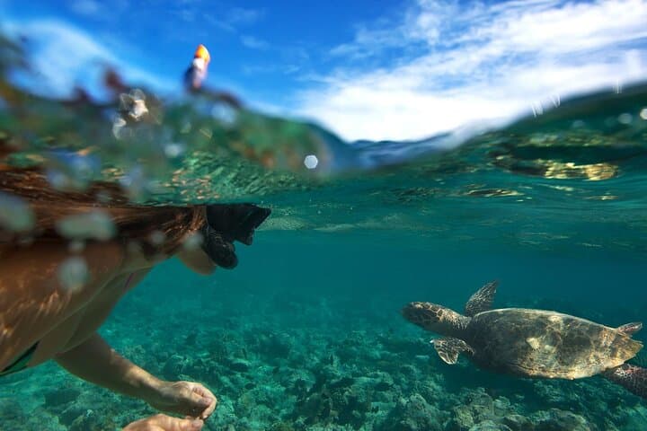Spanish-Guided Circle-Island Adventure with Turtle Snorkeling on Oahu