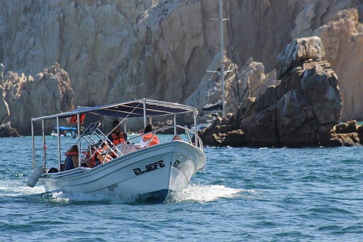 Cabo San Lucas Shared Boat Tour to El Arco — Land's End & Sea Lion Colony photo 2
