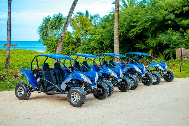South Zanzibar Buggy Adventure: Jambiani, Baobab & Mtende Beach Off-Road Tour photo 1
