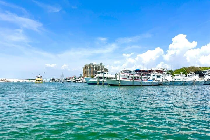 Destin Harbor Pontoon Cruise: Dolphin Watching on Choctawhatchee Bay photo 2