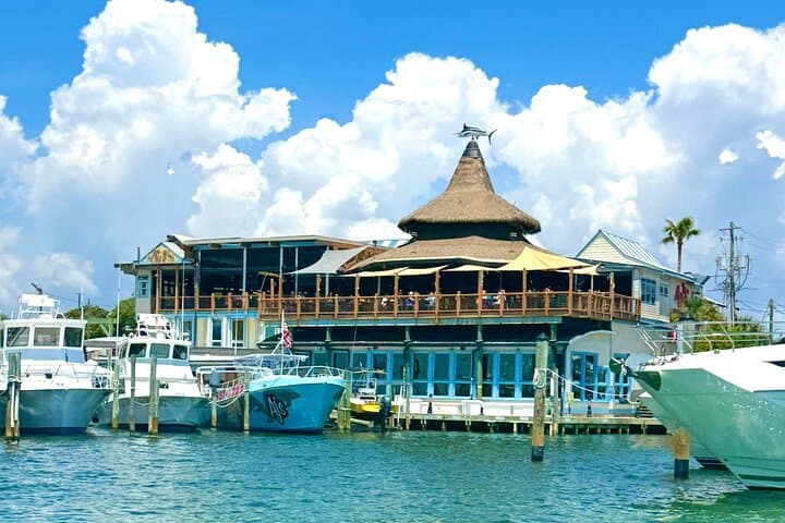 Destin Harbor Pontoon Cruise: Dolphin Watching on Choctawhatchee Bay photo 3