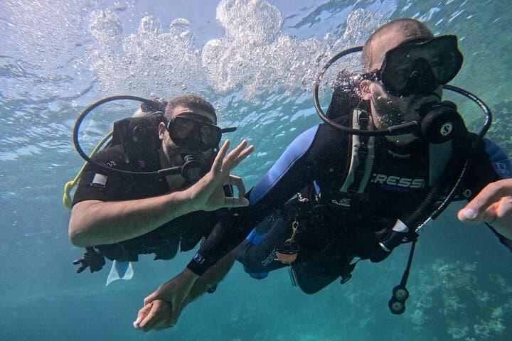 PADI Open Water Course in Hurghada: Red Sea Scuba Certification & Reef Dives photo 2