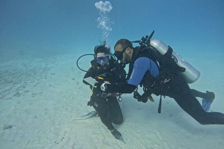 PADI Open Water Course in Hurghada: Red Sea Scuba Certification & Reef Dives photo 6