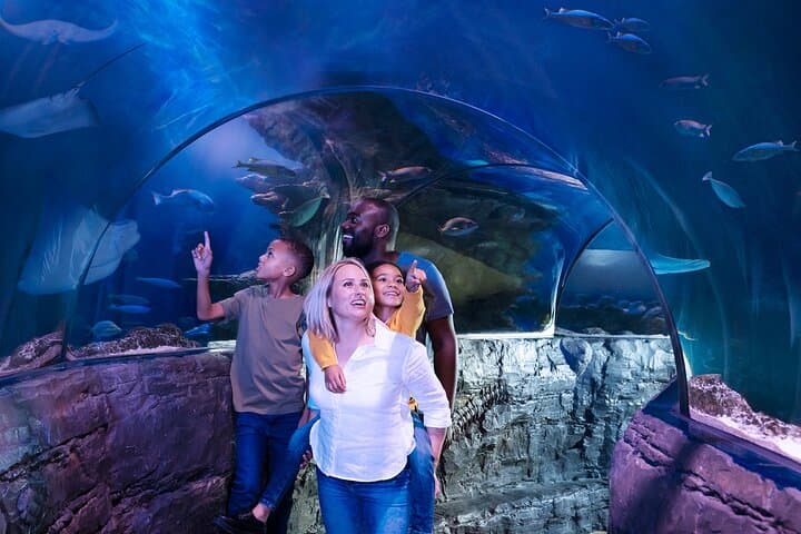 LEGOLAND California Tickets — Carlsbad Theme Park, Water Park & SEA LIFE Guide photo 2