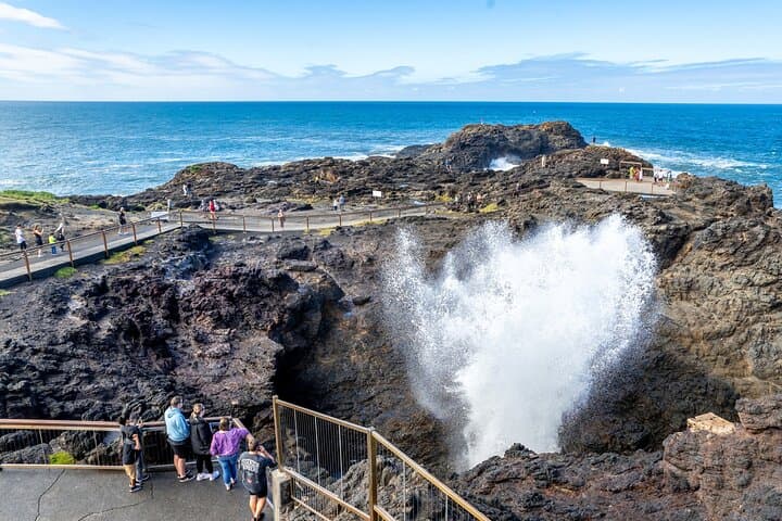 Sea Cliff Bridge: Whale Watching, Kiama Blowhole & Wine Tasting Day Tour from Sydney photo 5