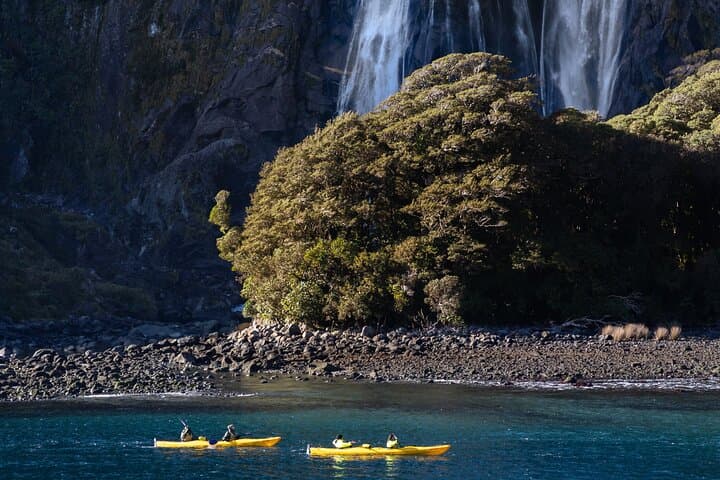 Milford Sound Scenic Flight with Landing: A Stunning Aerial Adventure from Queenstown photo 5