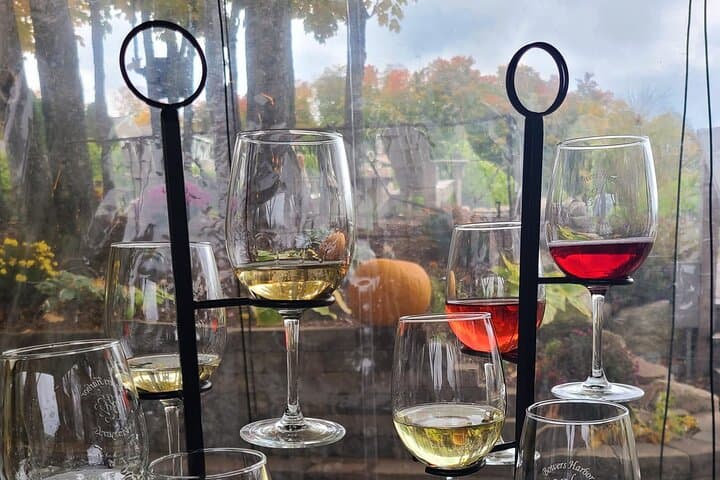 VIP Old Mission Peninsula Wine Tour — Traverse City Fall Colors & Wineries photo 4