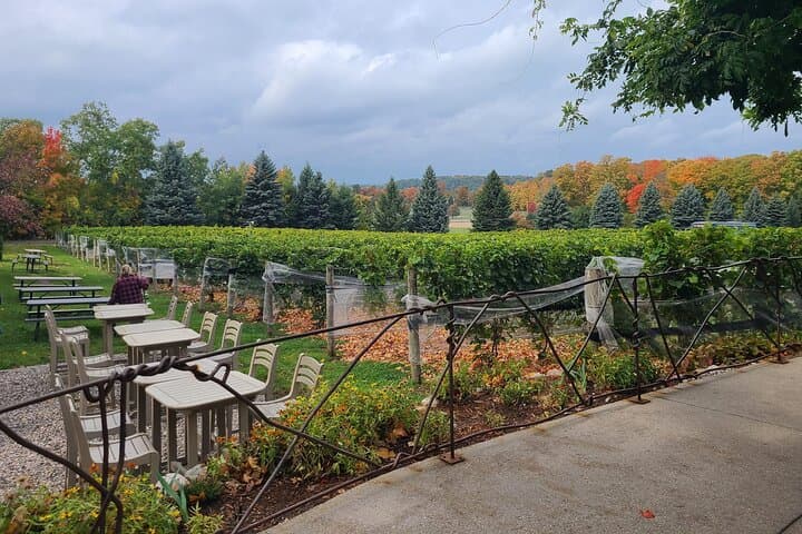VIP Old Mission Peninsula Wine Tour — Traverse City Fall Colors & Wineries photo 5