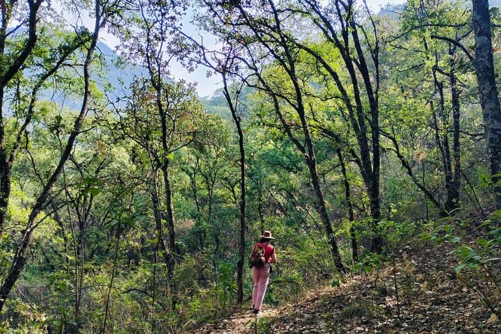Oaxaca Mountain Hike and Rituals — Panorama, Cacao & Nature Bath