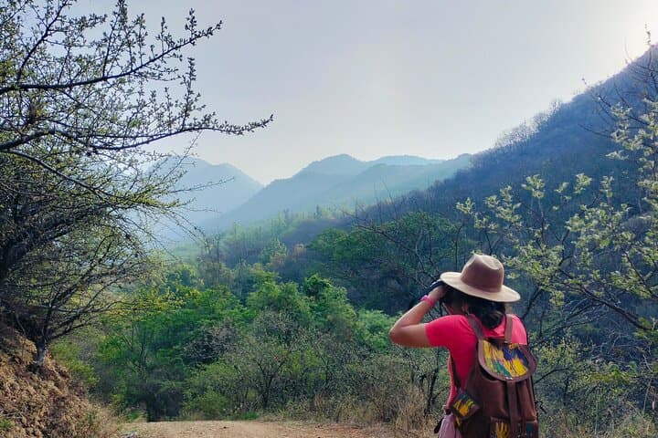 Oaxaca Mountain Hike and Rituals — Panorama, Cacao & Nature Bath photo 5