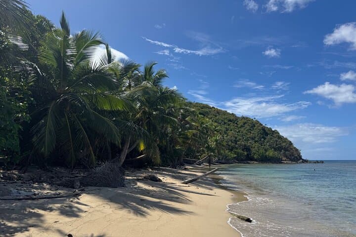 Hidden Beaches Jeep Adventure in St. Thomas — Private Open-Air Tour photo 6