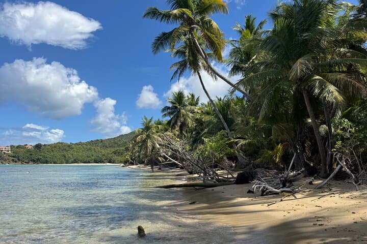 Hidden Beaches Jeep Adventure in St. Thomas — Private Open-Air Tour photo 2