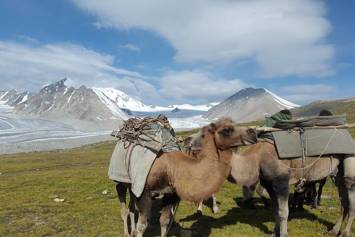 Trekking Altai Tavan Bogd: 11-Day Trek to Mongolia’s Highest Peaks photo 5