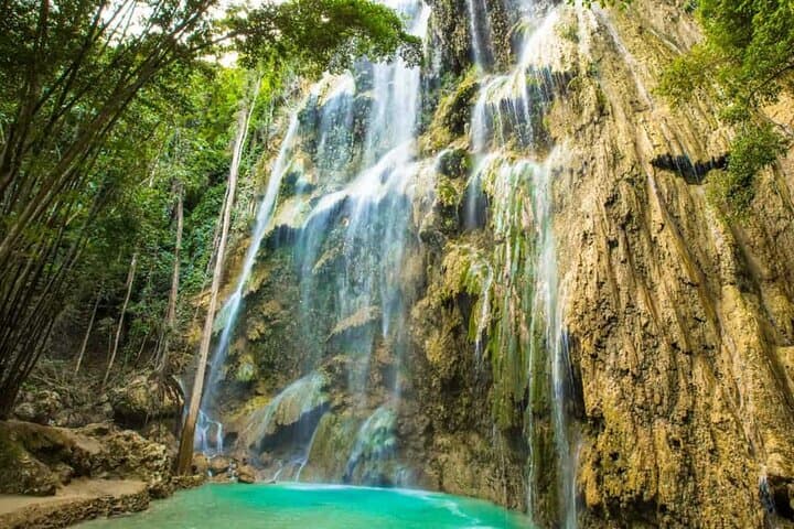 Cebu One-Day Adventure: Whale Sharks, Tumalog & Inambakan Falls, Moalboal Sardine Run photo 2