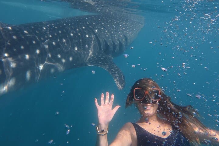 Cebu One-Day Adventure: Whale Sharks, Tumalog & Inambakan Falls, Moalboal Sardine Run photo 5