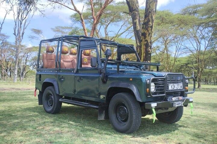Exploring Nairobi: A Full-Day Safari and Cultural Experience photo 4