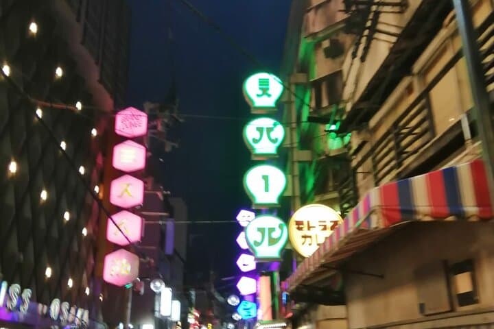 Osaka City Walking Tour: Castle, Dotonbori & Local Streets photo 4