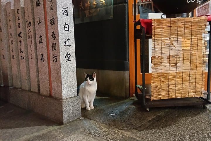 Osaka City Walking Tour: Castle, Dotonbori & Local Streets photo 5